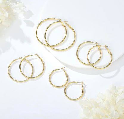 Classic Hoops